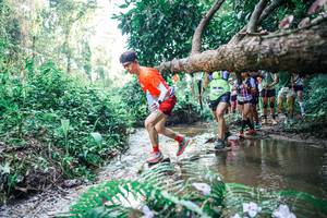 BIB: 
                            <button type="button" onclick="openModal(25462415)" class="btn btn-primary btn-sm float-right btn-popup" data-toggle="modal" data-target=".modal-high-quality">
                        <i class="fas fa-shopping-cart"></i> Add to Cart
                    </button>
                                            <button type="button" onclick="isThisMe(25462415, true)" class="btn btn-success btn-sm float-right btn-popup btn-isme hidden" data-toggle="tooltip" data-placement="bottom" title="นี่คือรูปของคุณใช่ไหม คลิกที่นี่เพื่อเอาเข้าอัลบั้ม">
                        <i class="fas fa-plus"></i> Add to album
                    </button>
                    <button type="button" onclick="isThisMe(25462415, false)" class="btn btn-warning btn-sm float-right btn-popup btn-isnotme hidden">
                        <i class="fas fa-ban"></i> Remove from album
                    </button>